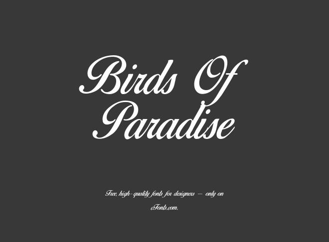 Birds Of Paradise Font