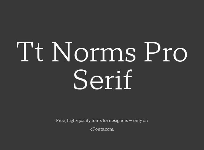 Tt Norms Pro Serif Font